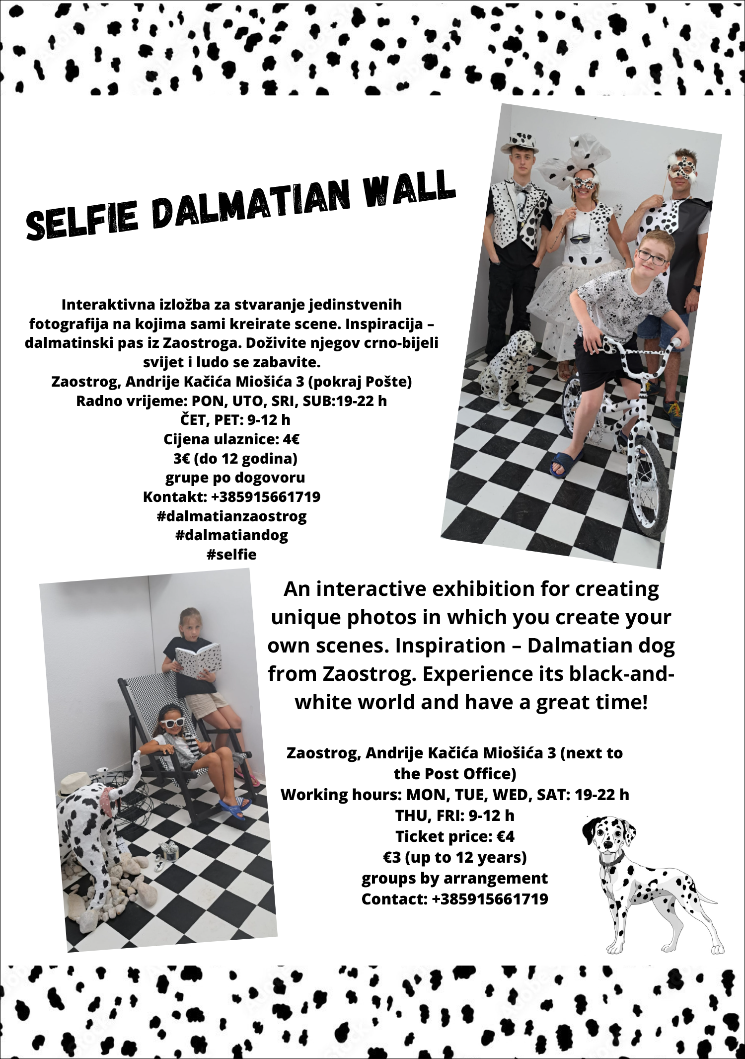Selfie Dalmatian Wall